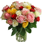 Zamów kwiaty do Polski: Bukiet 20 Kolorowych Róż