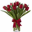 Zamów kwiaty do Polski: Bukiet Szkarłatne Tulipany