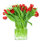 Zamów kwiaty do Polski: Bukiet 20 Tulipanów