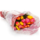 Zamów kwiaty do Polski: Bukiet 20 Kolorowych Tulipanów