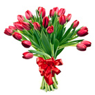 Zamów kwiaty do Polski: Bukiet 25 Tulipanów