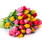 Zamów kwiaty do Polski: Bukiet 30 Tulipanów