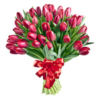 Zamów kwiaty do Polski: Bukiet 35 Tulipanów