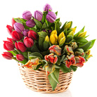 Zamów kwiaty do Polski: Kosz Tulipanów