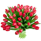 Zamów kwiaty do Polski: Bukiet 50 Tulipanów