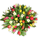 Zamów kwiaty do Polski: Bukiet 50 Kolorowych Tulipanów